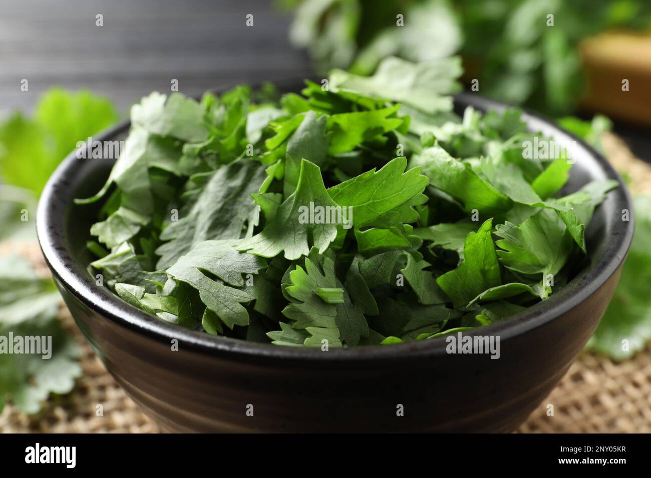 Cut fresh green cilantro in bowl, closeup Stock Photo