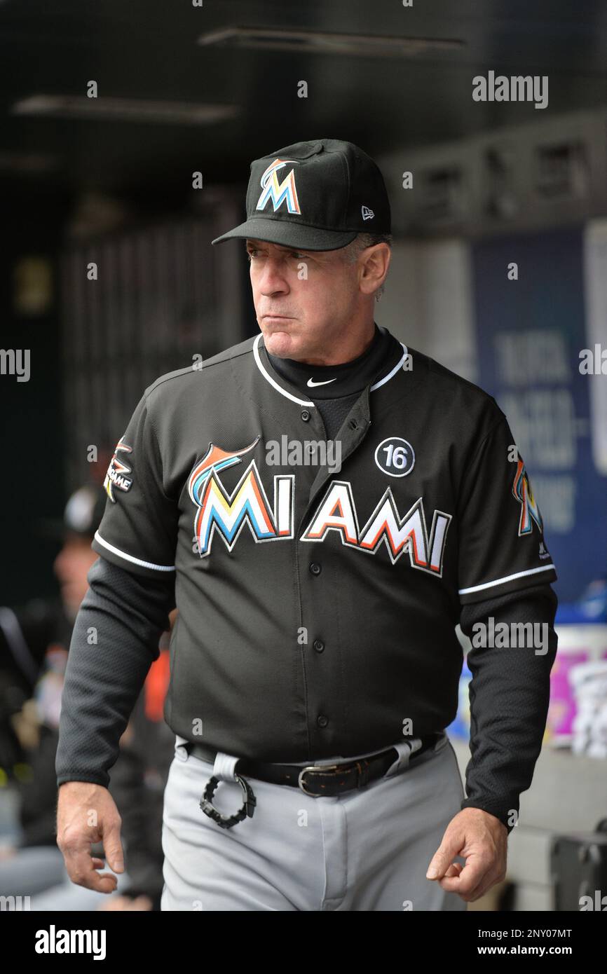 Miami Marlins coach Mike Pagliarulo (6) during game against the New