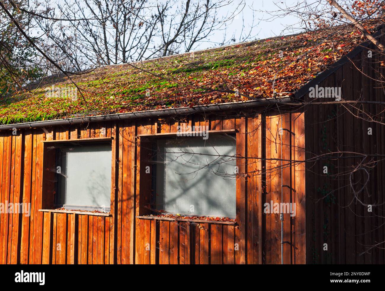 Old wooden shed . Abandoned wooden house in the forest Stock Photo - Alamy