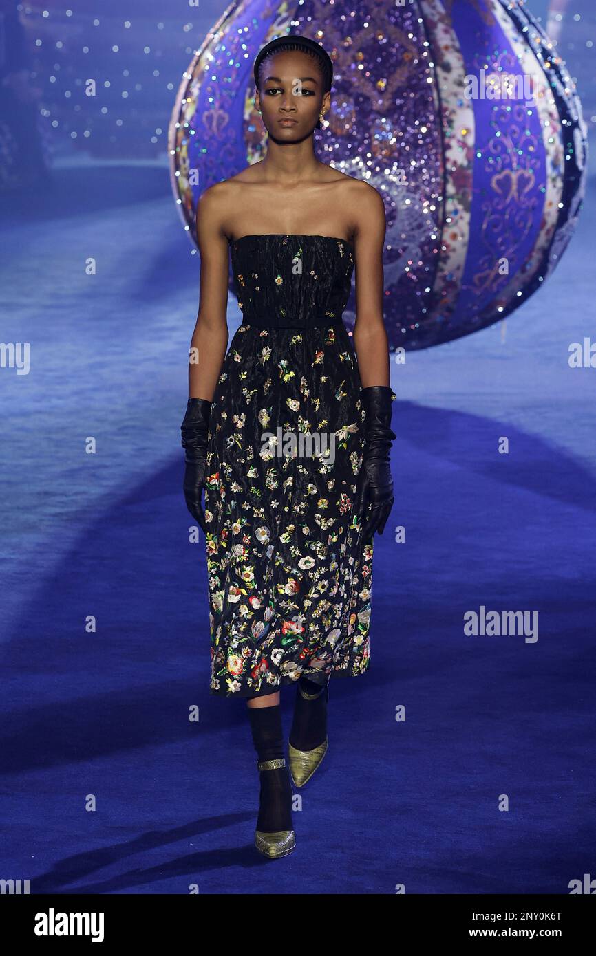 CHRISTIAN DIOR FallWinter 20232024 Runway during Paris Fashion Week