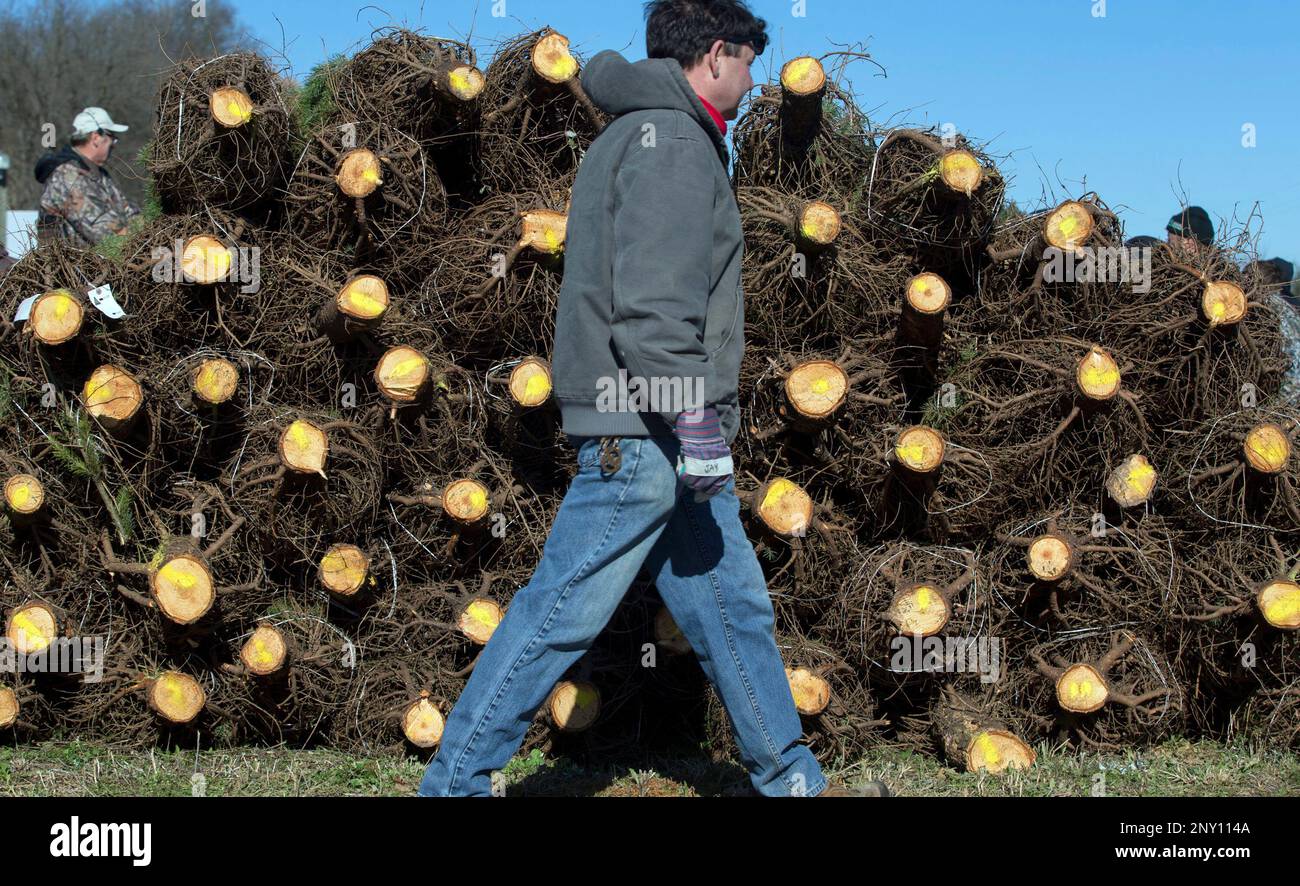 Buffalo Valley Produce Auction General Manager and Auctioneer Neil Courtney, upper left, can be
