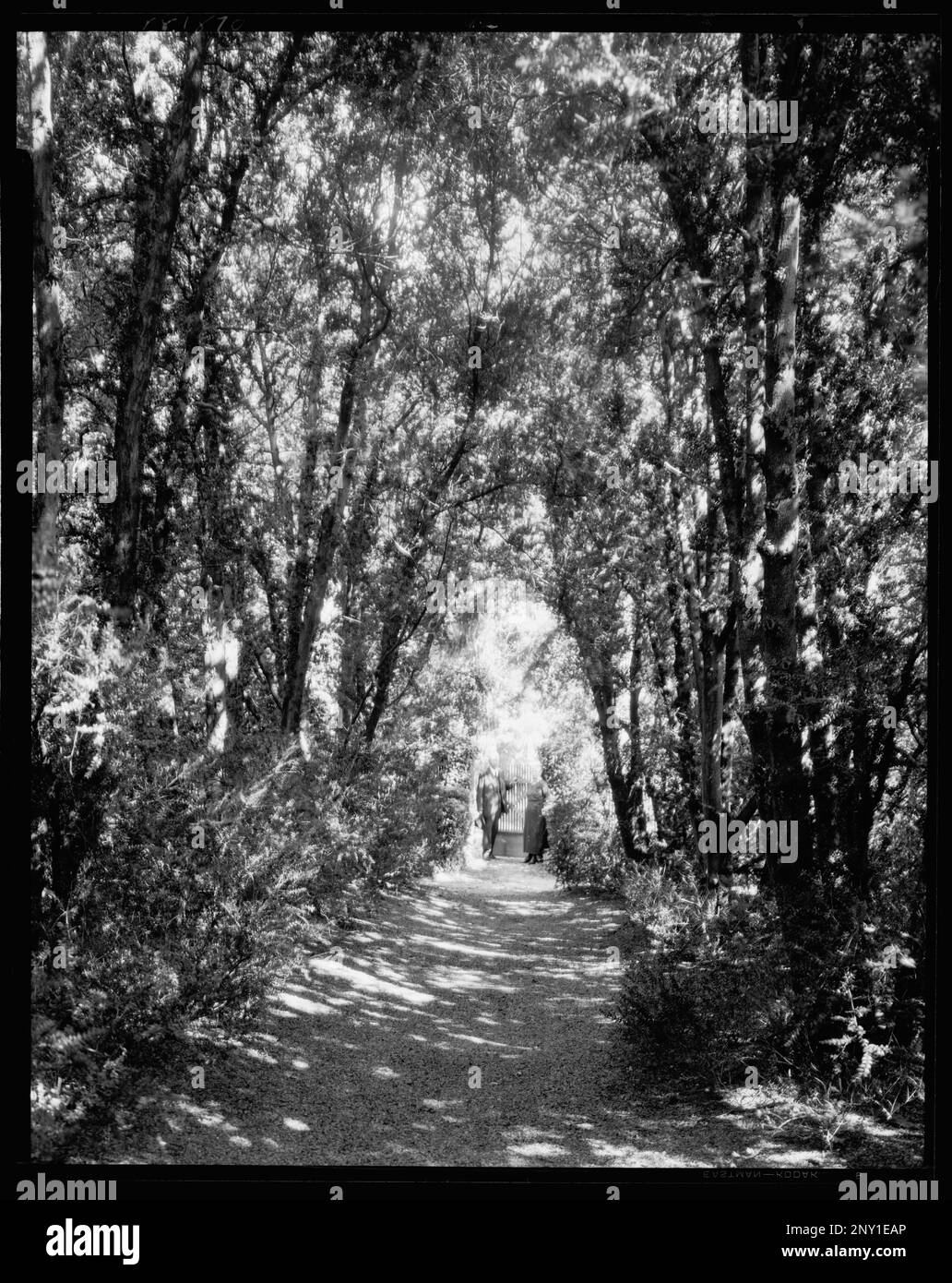 Hickory hill hires stock photography and images Alamy