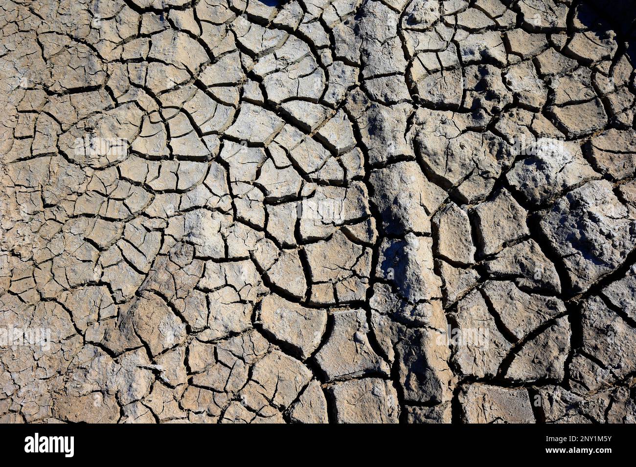 Climate warming dry chapped land Stock Photo - Alamy