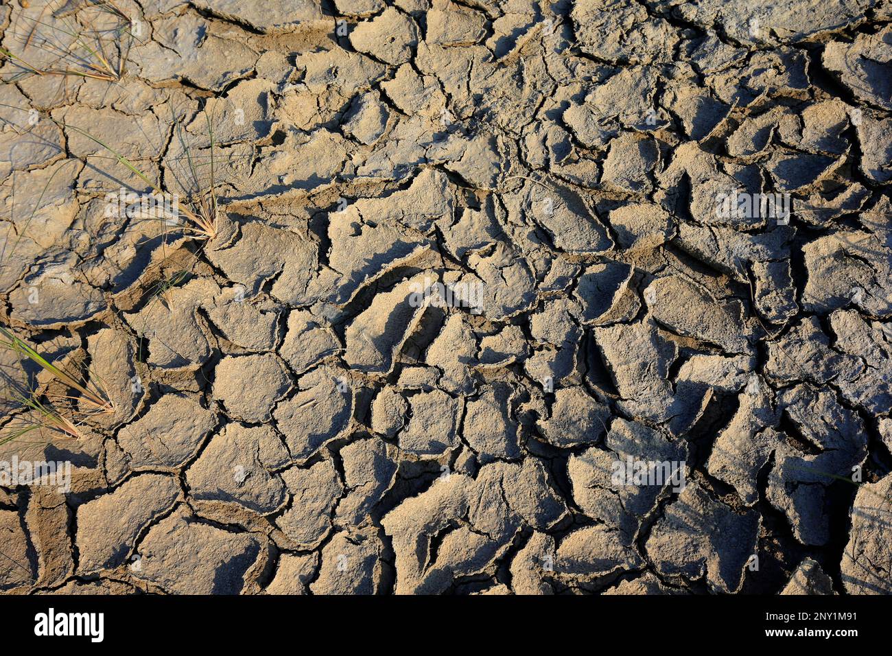 Climate warming dry chapped land Stock Photo - Alamy