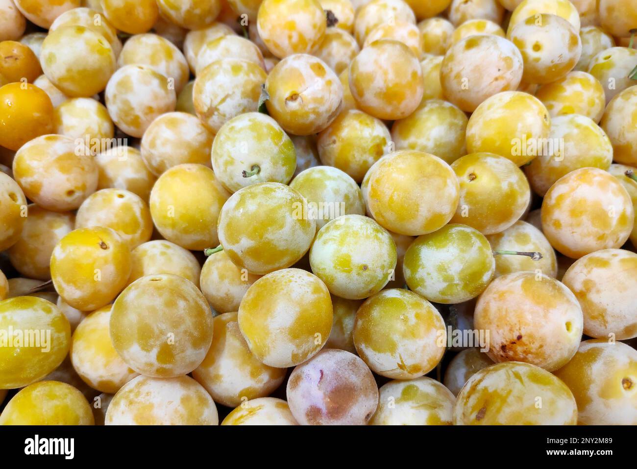 Close-up on a stack of Mirabelle plums on a market stall. Stock Photo