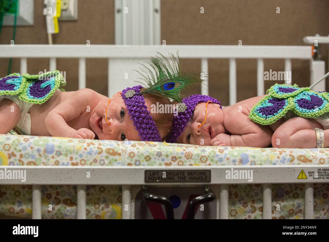 Addison, left, and Emma Thweatt, 6weekold twin sisters, of Hickory