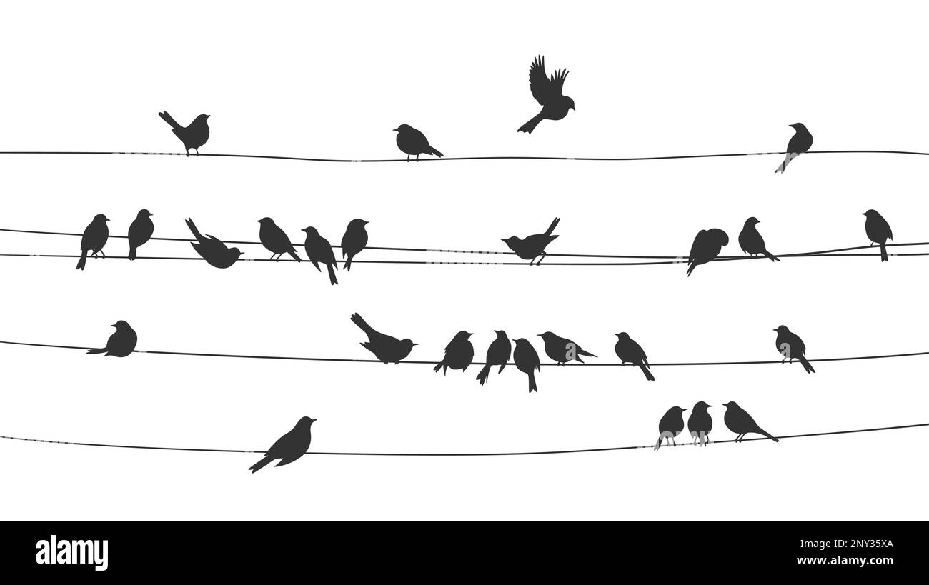 Sparrow and bullfinch birds flock on power line wires, vector