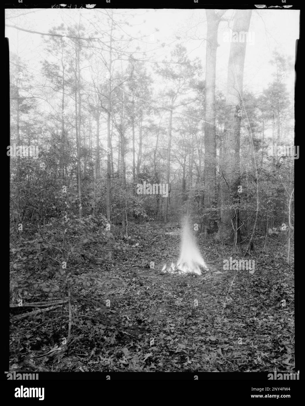 The Kellams, Princess Anne County, Virginia. Carnegie Survey of the