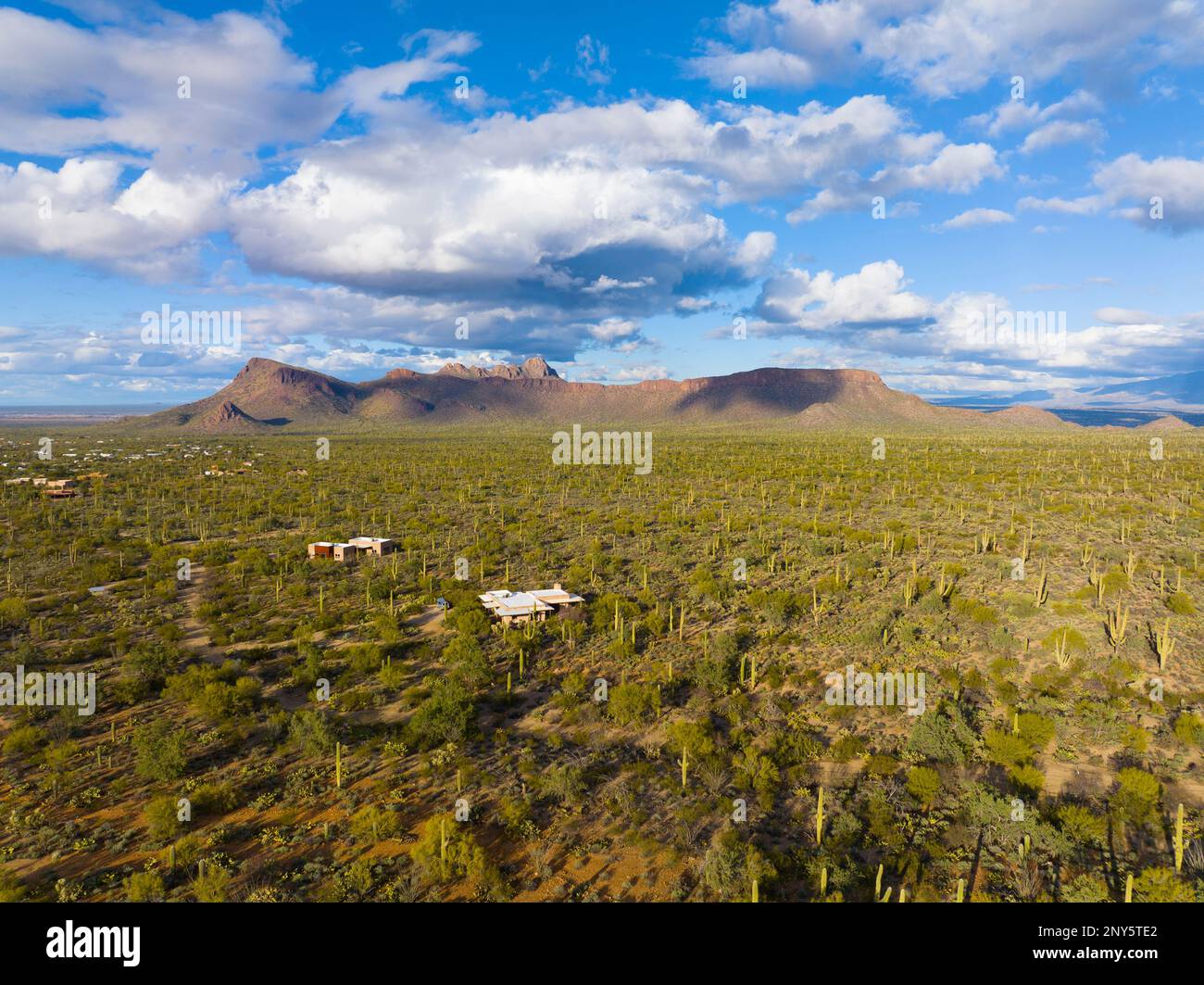 Panther Peak and Safford Peak aerial view with Sonoran Desert landscape in Tucson Mountain District in Saguaro National Park in city of Tucson, Arizon Stock Photo