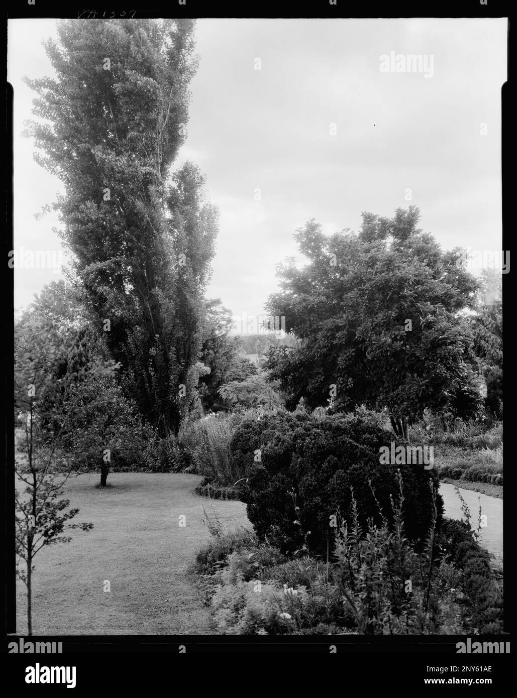 Greenwood gardens Black and White Stock Photos & Images Alamy