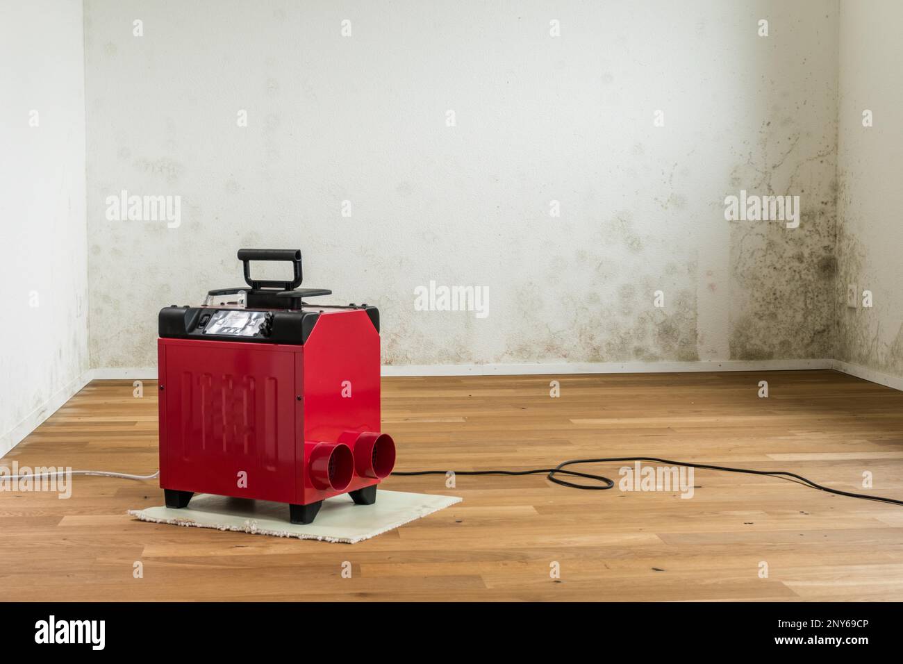 Room dryer, drying device, water damage, mould Stock Photo Alamy