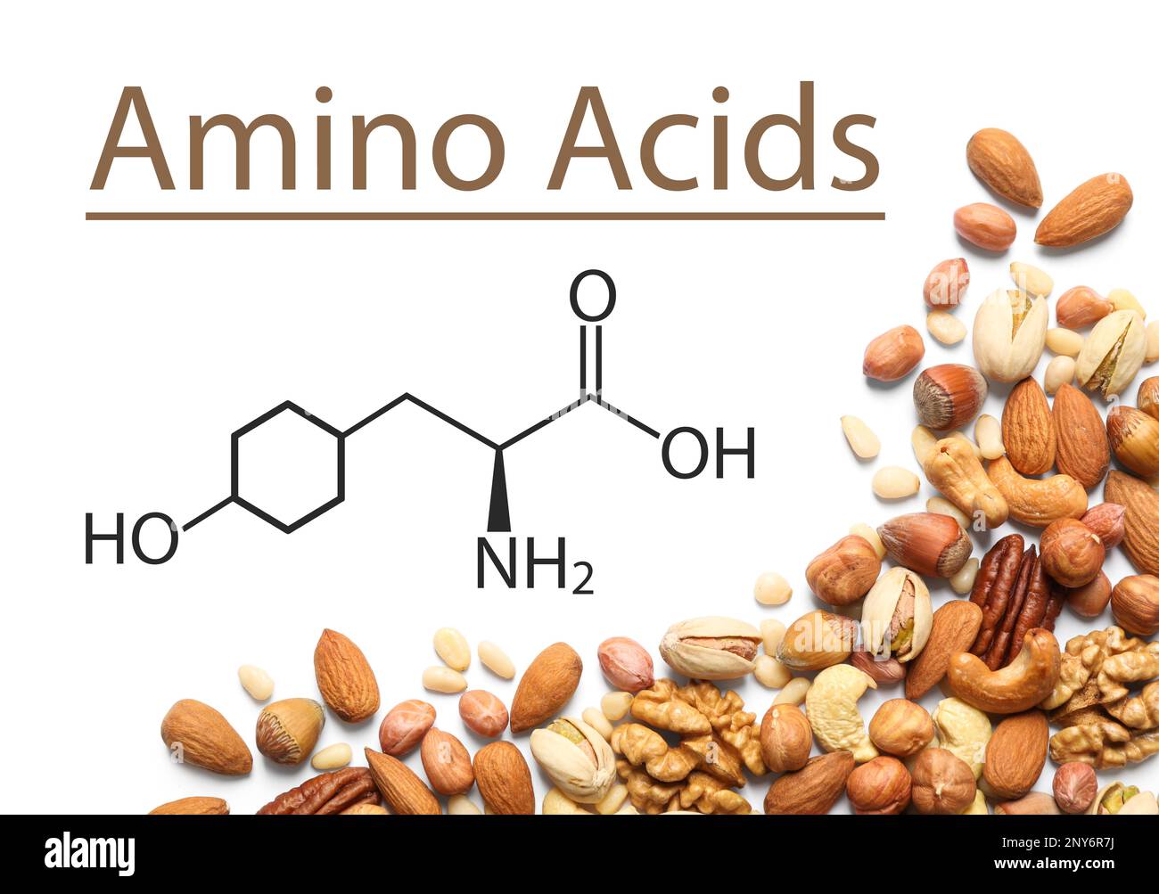Different delicious nuts on white background, flat lay. Source of essential amino acids Stock