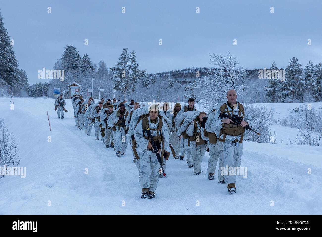 U.S. Marines with Combat Logistics Battalion 2, Combat Logistics Regiment 2, 2nd Marine Logistics Group, conduct a 5-kilometer hike during Marine Rotational Force- Europe 23.1 in Setermoen, Norway, Jan. 29, 2023. MRF-E 23.1 focuses on regional engagements throughout Europe by conducting various exercises, mountain-warfare training, and military-to-military engagements, which enhances the overall interoperability of the U.S. Marine Corps with allies and partners. Stock Photo