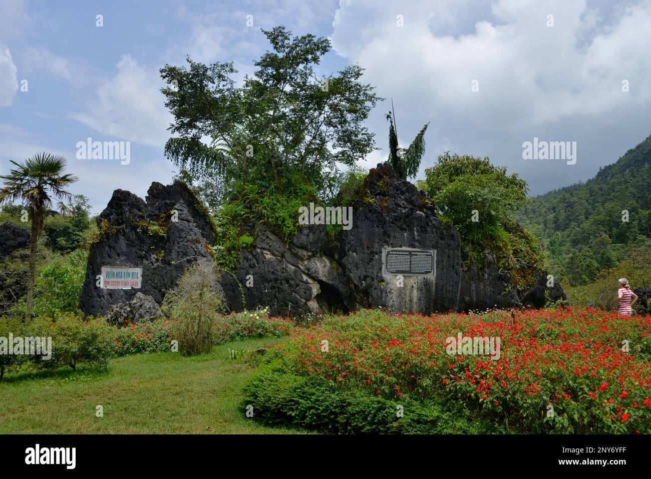 Park, Ham Rong Mountain, Sa Pa, Vietnam Stock Photo