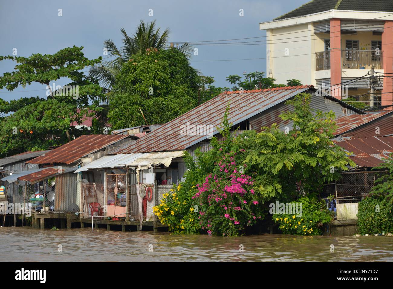 Residential houses, Song Can Tho, Can Tho, Vietnam Stock Photo Alamy