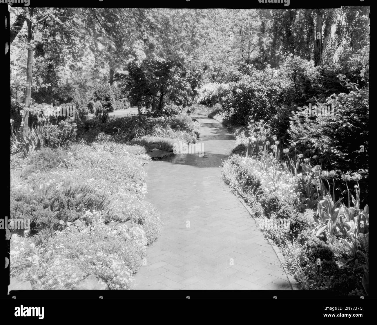 Rose Hill, Greenwood, Albemarle County, Virginia. Carnegie Survey of the Architecture of the South. United States  Virginia  Albemarle County  Greenwood, Trails & paths, Gardens. Stock Photo