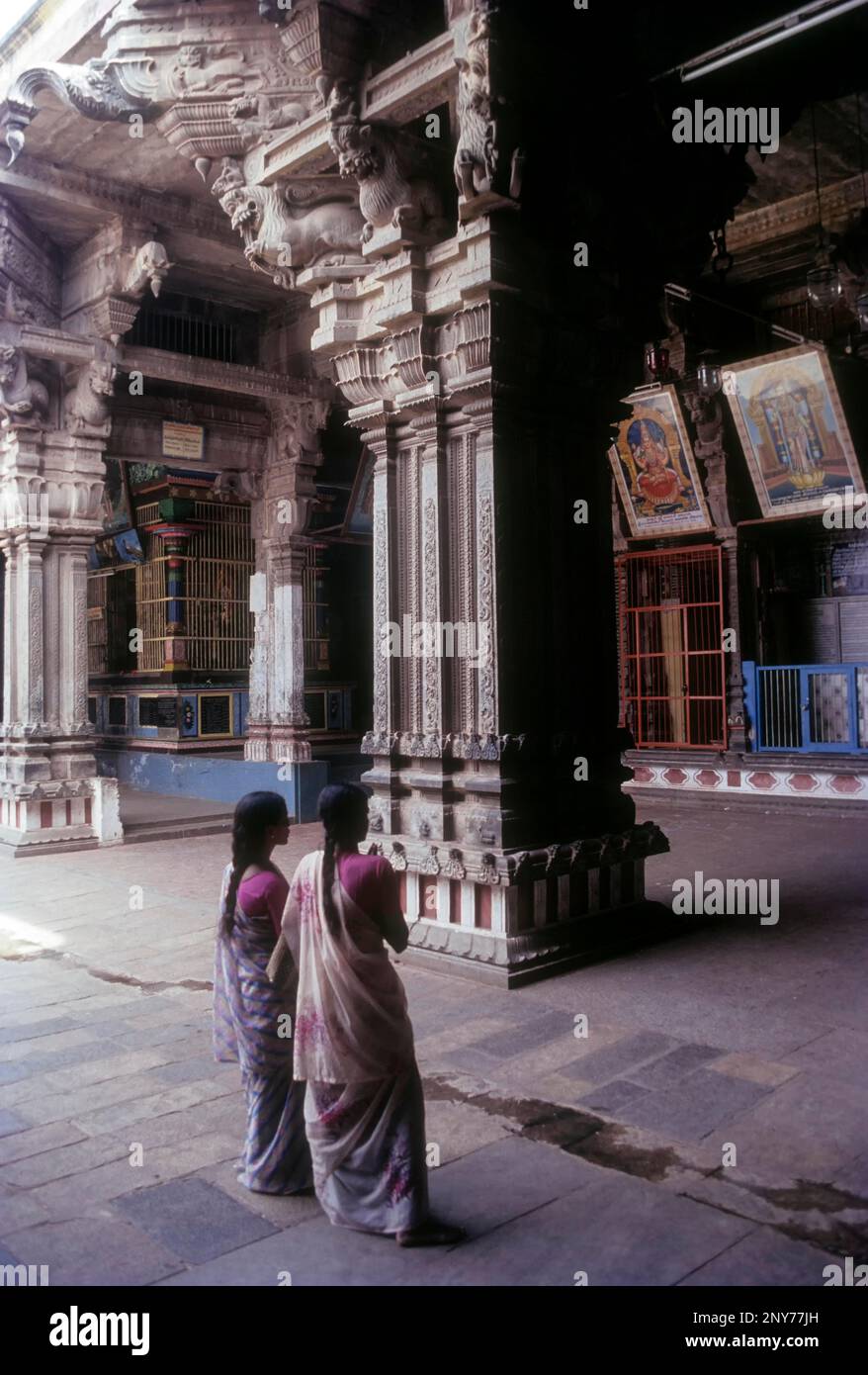 The Giant pillar in front of the nrittasaba in Nataraja Temple at Chidambaram, Tamilnadu, India Stock Photo