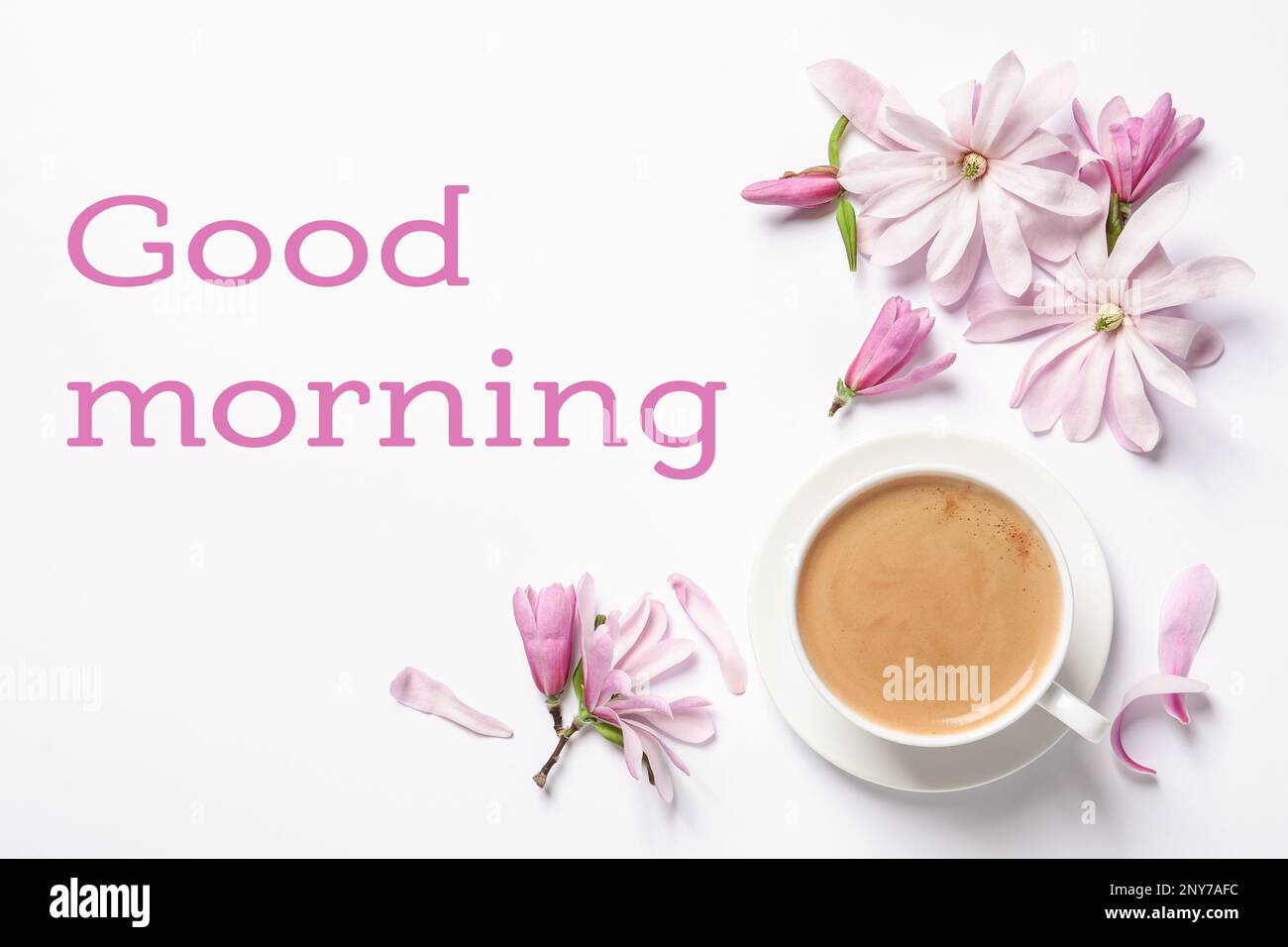 スタンピンアップ　GOOD MORNING MAGNOLIA セット Good morning! Beautiful pink magnolia flowers and cup of aromatic