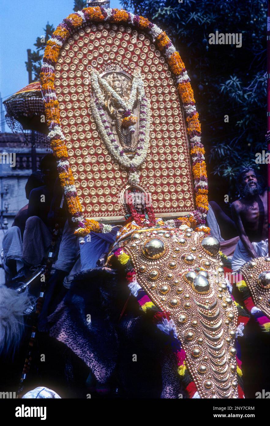 Icon of lord Krishna deity atop Caparisoned elephant in Pooram festival, Thrissur or Trichur, Kerala, India, Asia Stock Photo