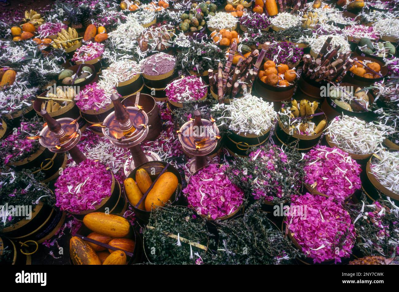 Offerings to the deity in Pooram festival Thrissur Trichur, Kerala, South India, India, Asia Stock Photo