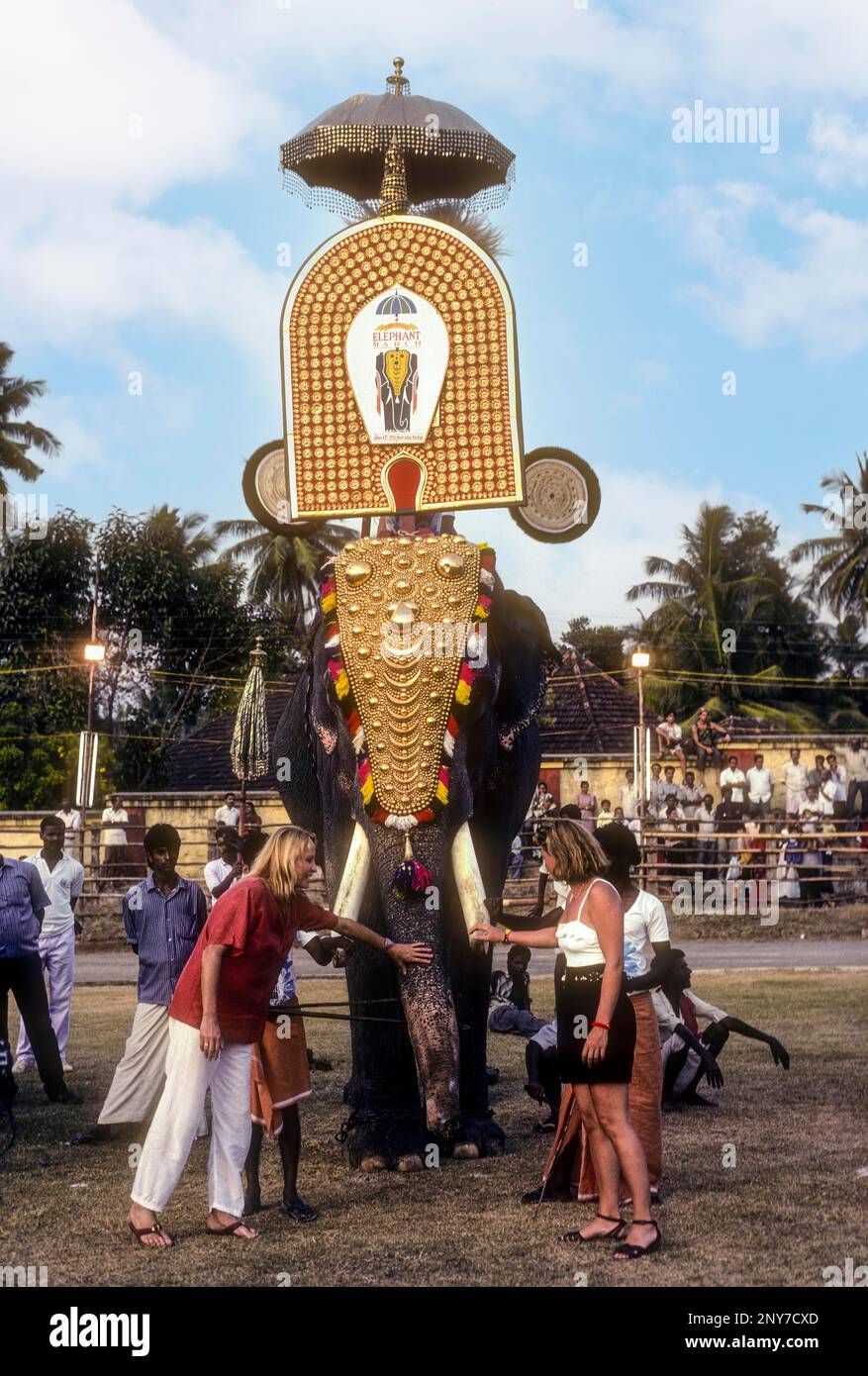 Tourists enjoying to touch the elephant, Great Elephant March celebration at Thiruvananthapuram