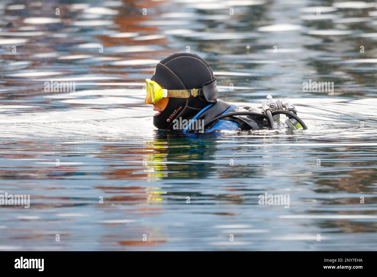Diver in Lake Grossabuent, Gamprin-Bendern, Liechtenstein Stock Photo ...