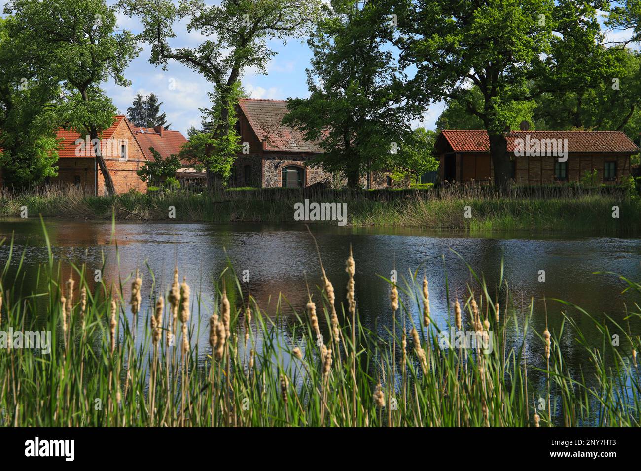 View to the wild little lake in the historic village Ihlow with the old architecture in the background, federal State Brandenburg - Germany Stock Photo