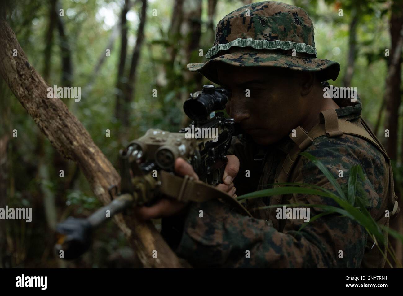 U.S. Marine Corps Lance Cpl. Kevin Lopez, a rifleman with 1st Battalion, 7th Marines, holds a defensive position during Jungle Warfare Exercise 23 in the Central Training Area on Okinawa, Japan, Feb. 14, 2023. JWX 23 is a large-scale field training exercise focused on leveraging the integrated capabilities of joint and allied partners to strengthen all-domain awareness, maneuver, and fires across a distributed maritime environment. Lopez is a native of Chicago, Illinois. Stock Photo