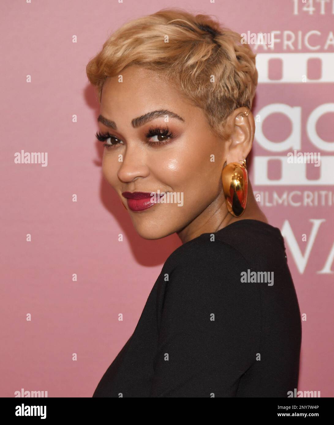 Meagan Good arrives at the 14th Annual AAFCA Awards held at the Beverly