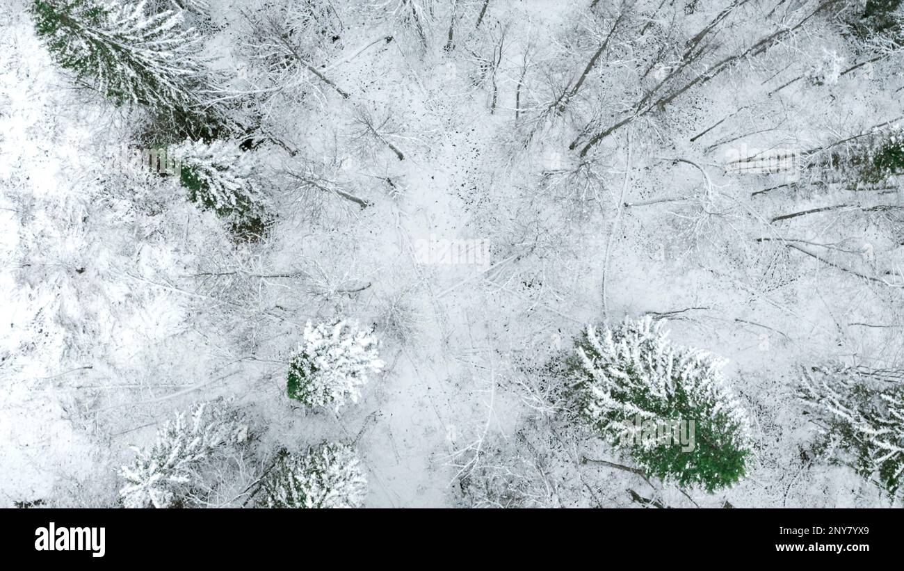 aireal winter 