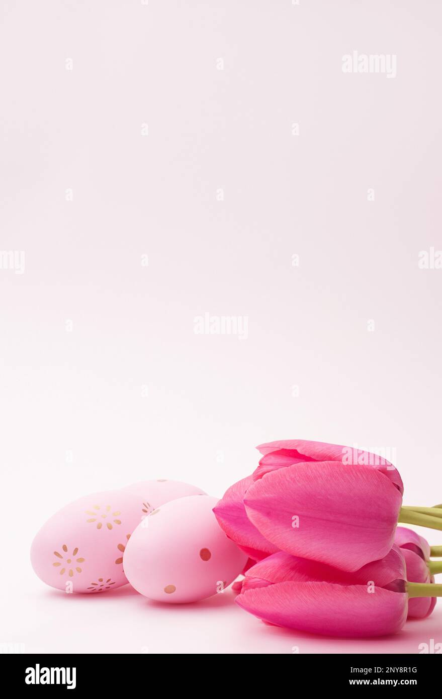 Colored eggs  with tulips on pink background. Easter. Vertical. Copy space Stock Photo