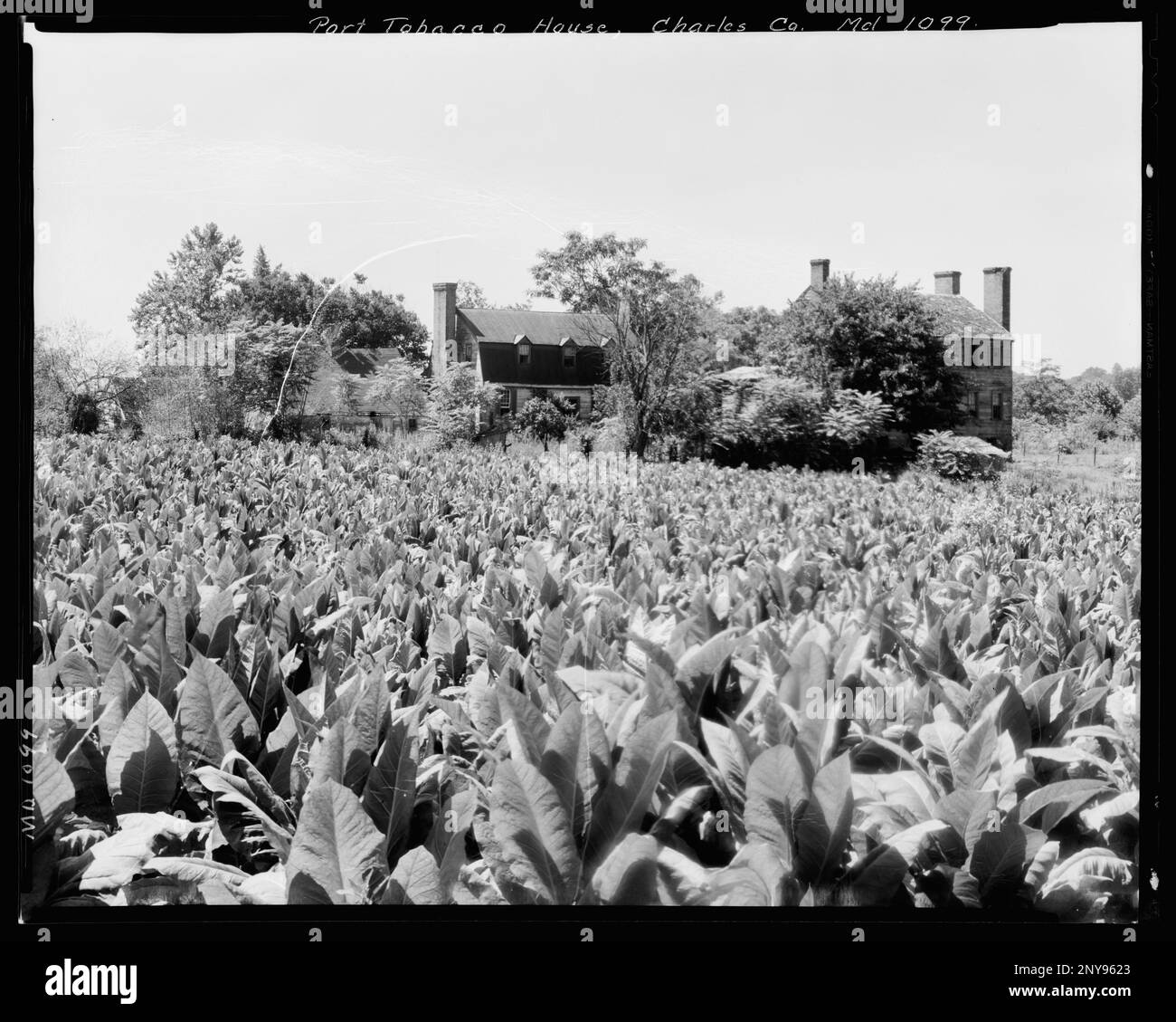 Port Tobacco Houses, Port Tobacco, Charles County, Maryland. Carnegie Survey of the Architecture