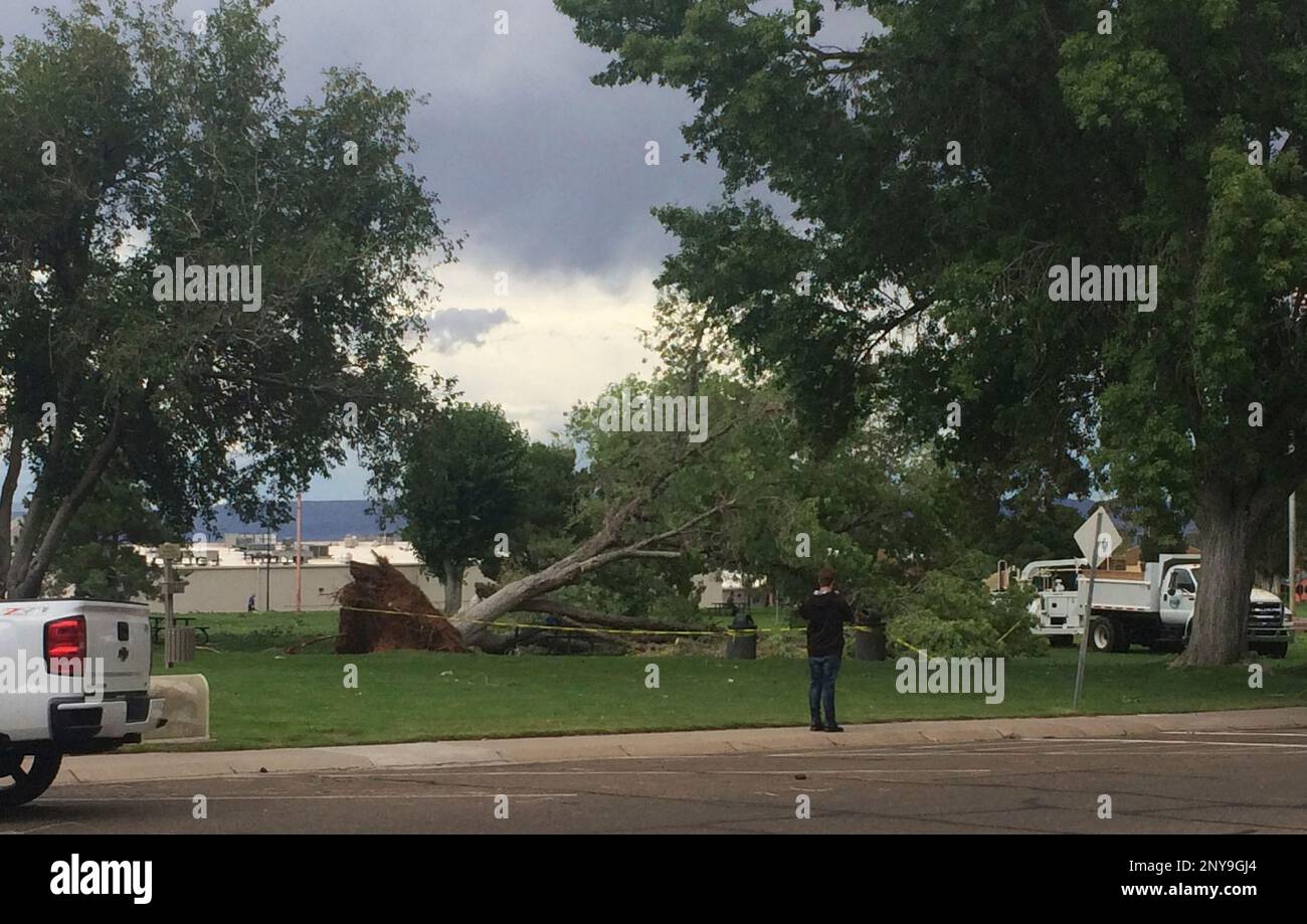 This photo released by the coconino county sheriff s office shows