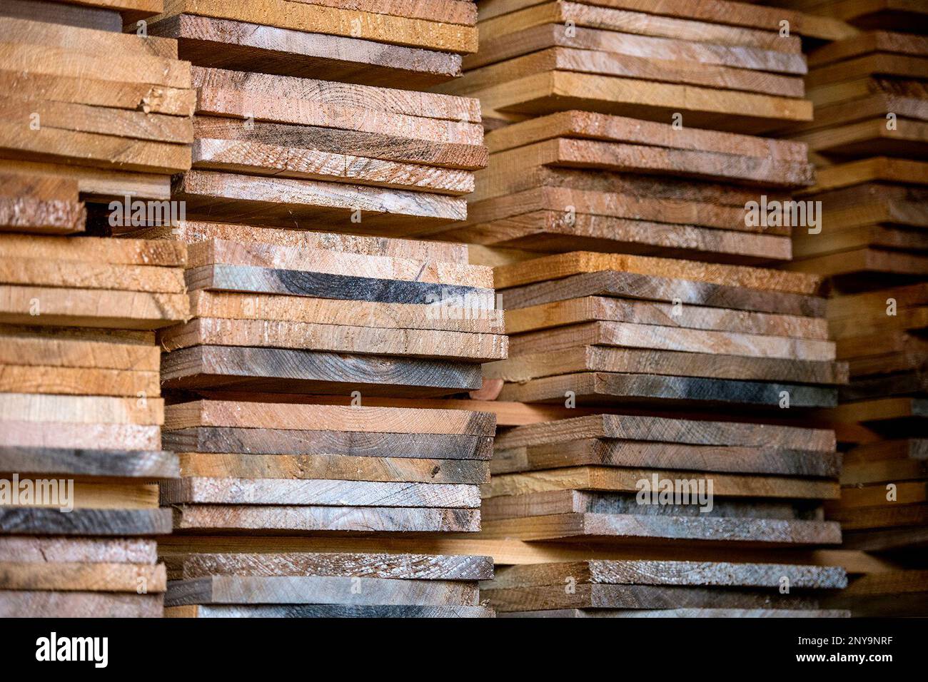 Lumber at Wilcox Timber & Lumber in Rusk, Texas, on Tuesday, Sept. 12,  2017. Wilcox Timber & Lumber is a family-owned specialty sawmill offering  quality woods like cedar, mesquite and cypress. They