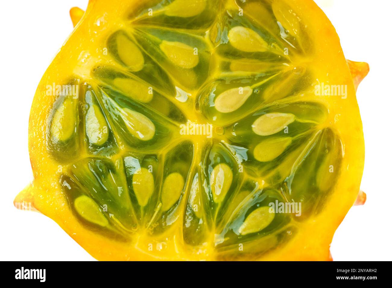 The crosssection of spiked melon showing cucumberlike flesh. Exotic