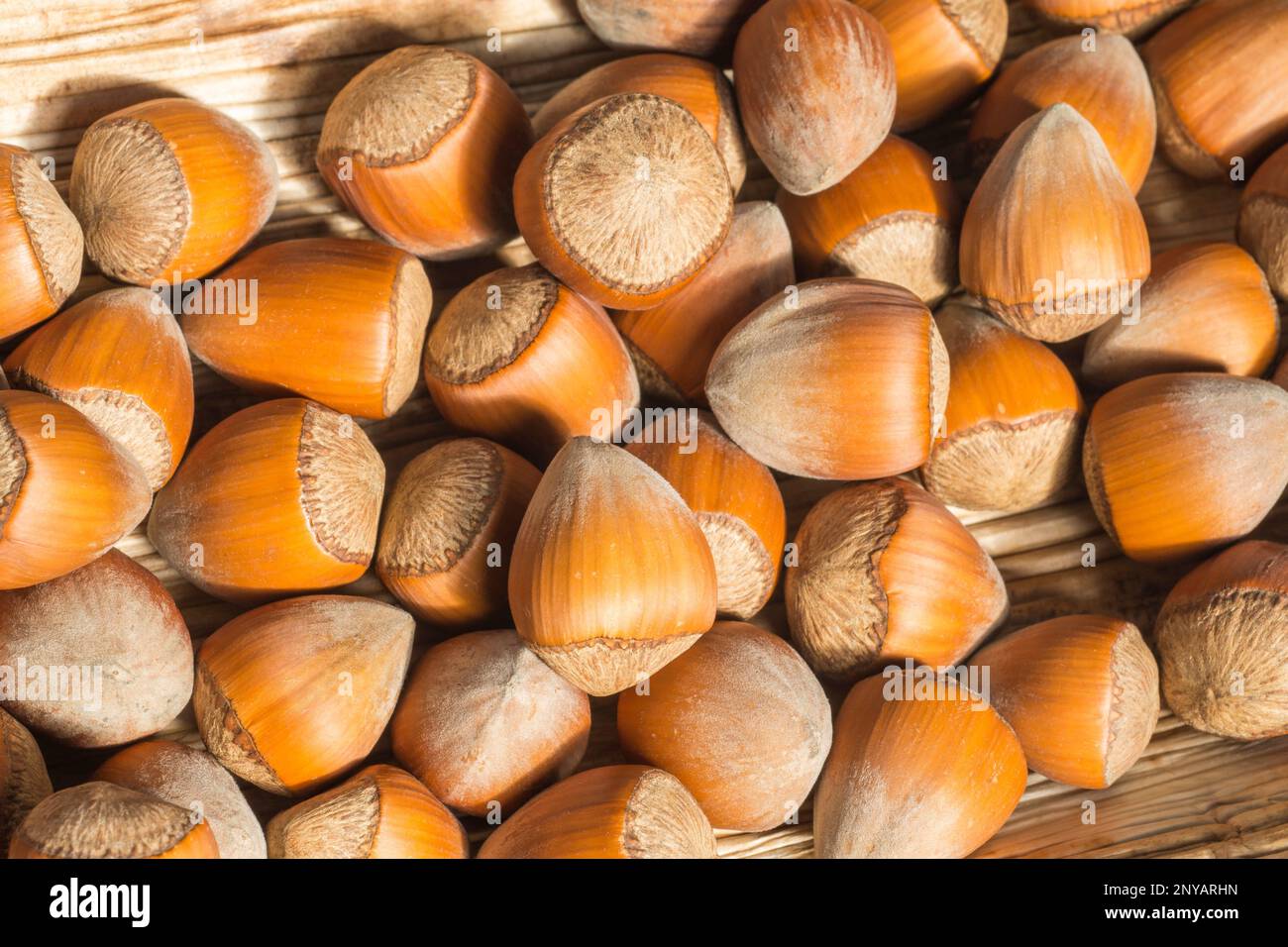 Group of hazelnuts in the husks on pressed palm leaf Stock Photo Alamy