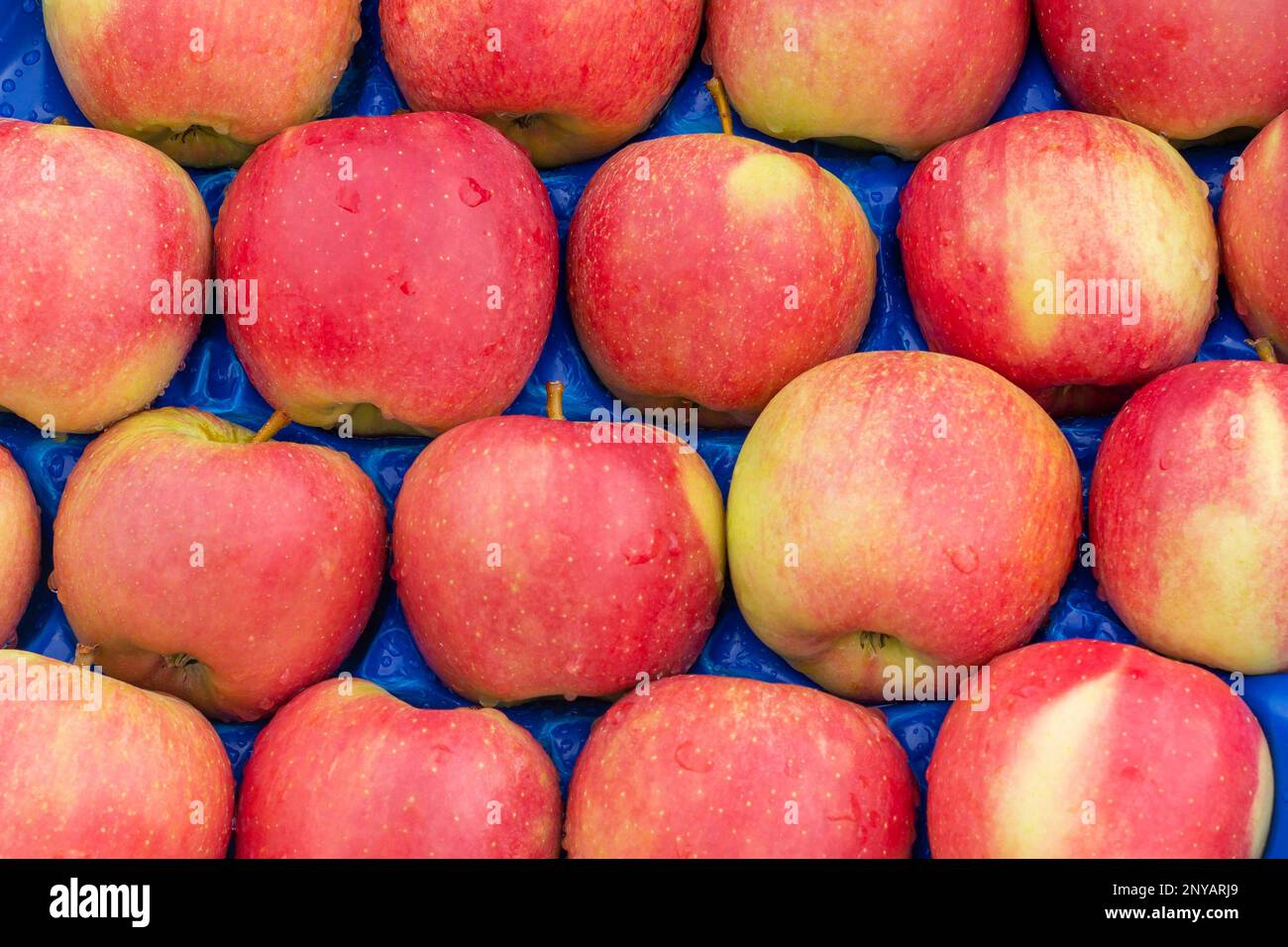 Fresh red apples on the market container. Healthy organic agricultural produce. Nutritious fruits. Stock Photo