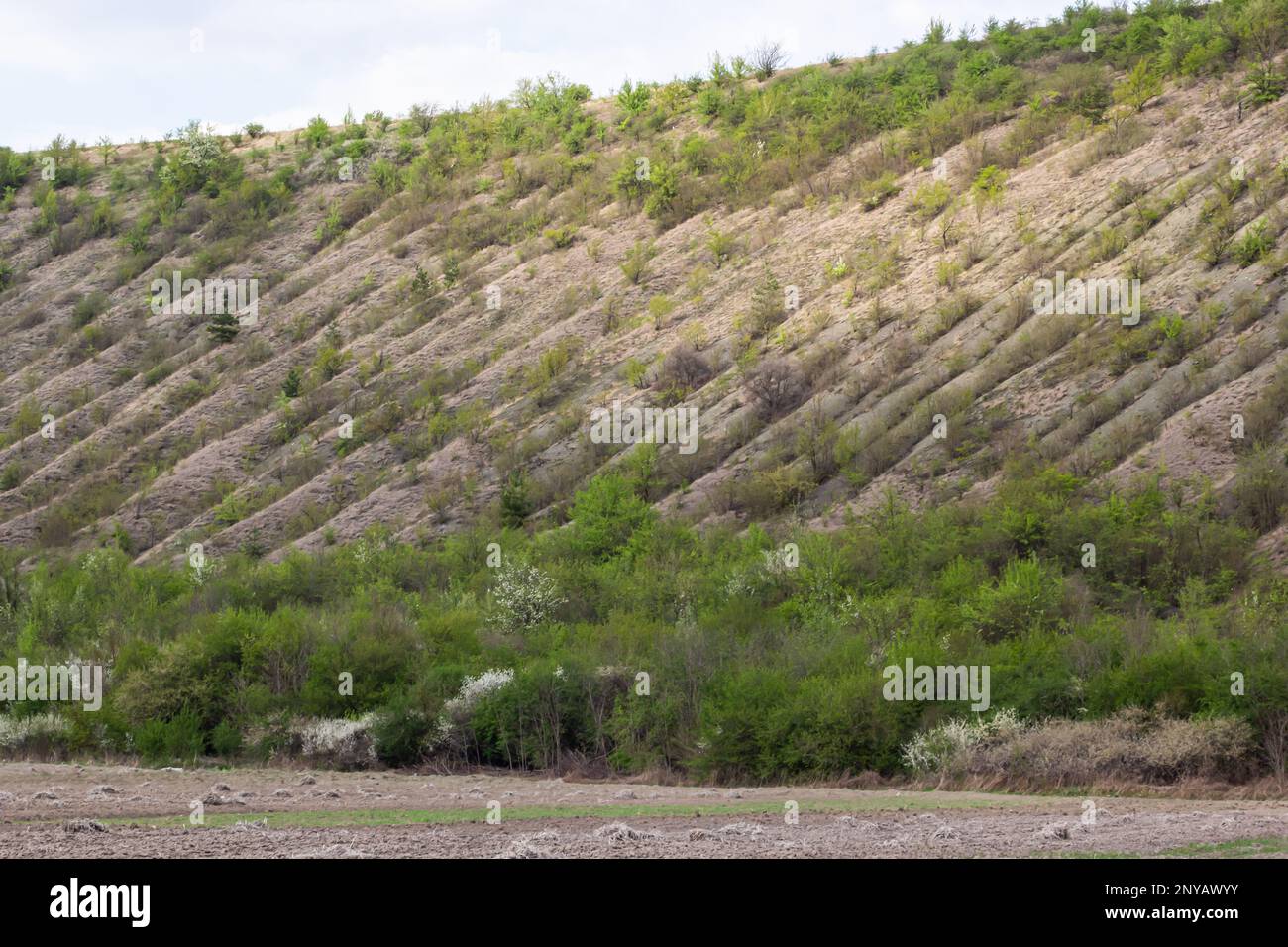 View ravine covered with greenery. Landscape valley with geological faults. Earthen mountains and bumps relief on against sky. Hill beam with protrusi Stock Photo