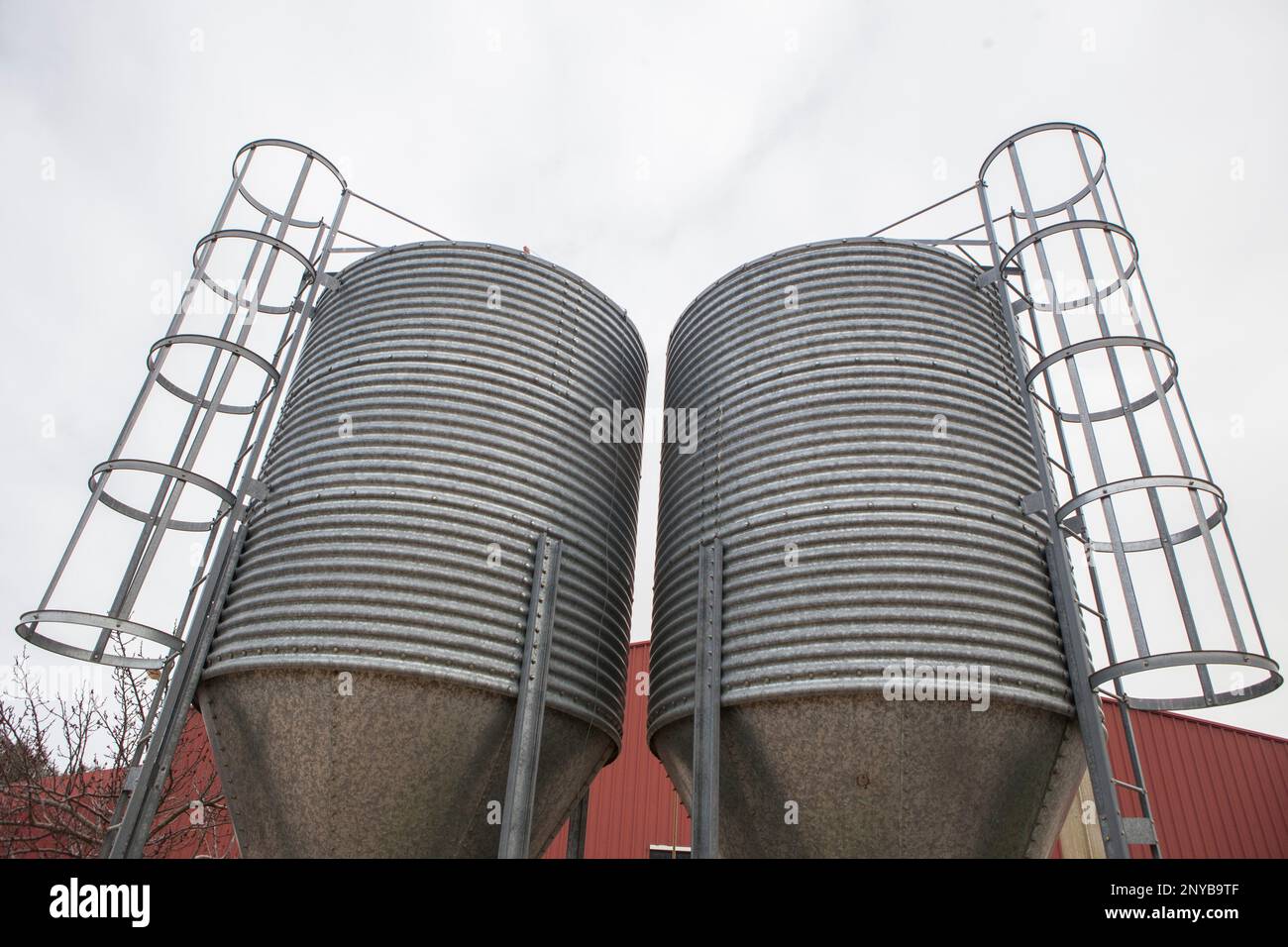 Animal feed silos. Zinc-coated storage for animal husbandry. Stock Photo
