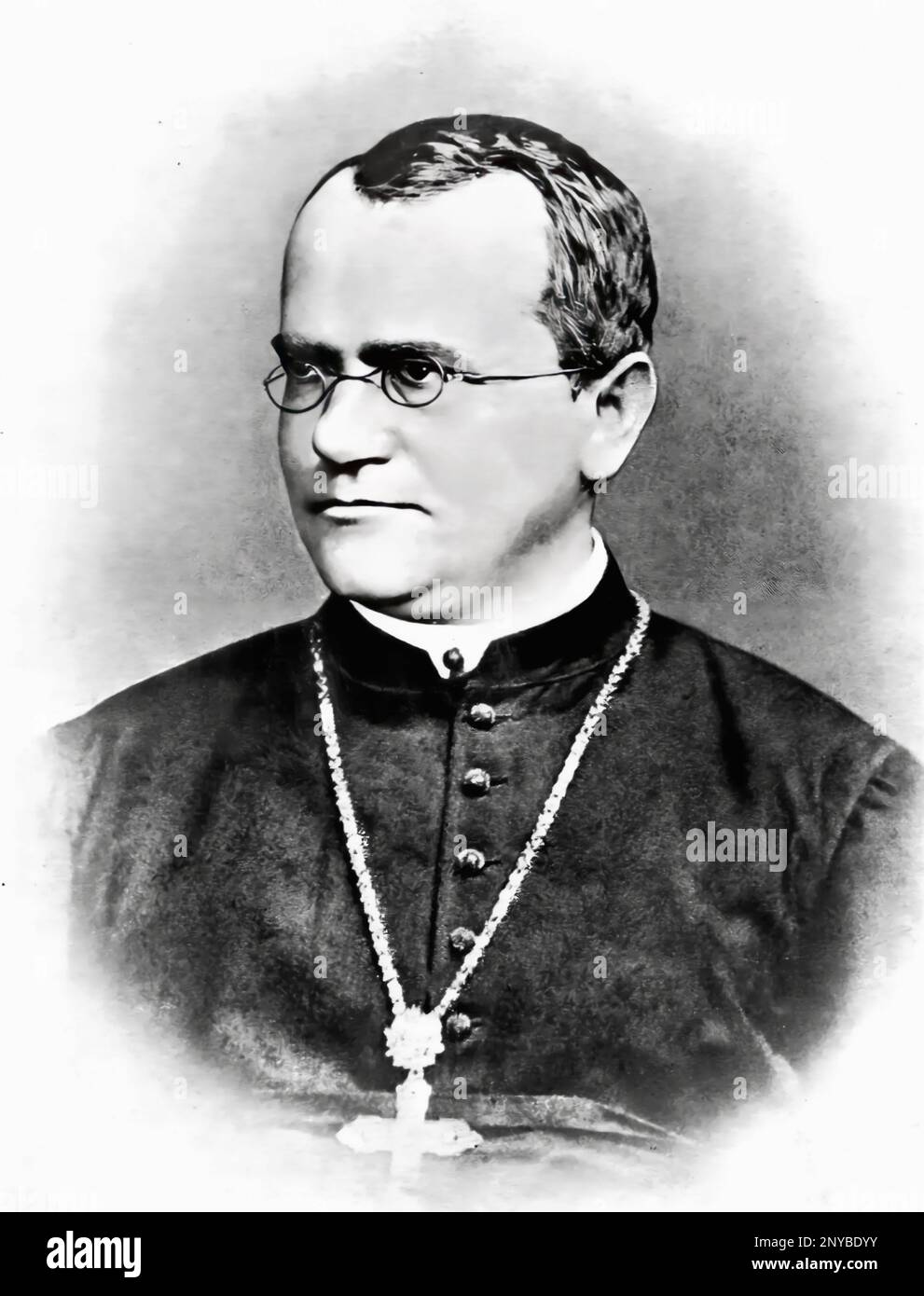 Gregor Johann Mendel, was born the 20th of july of 1822. Heinzendorf ...