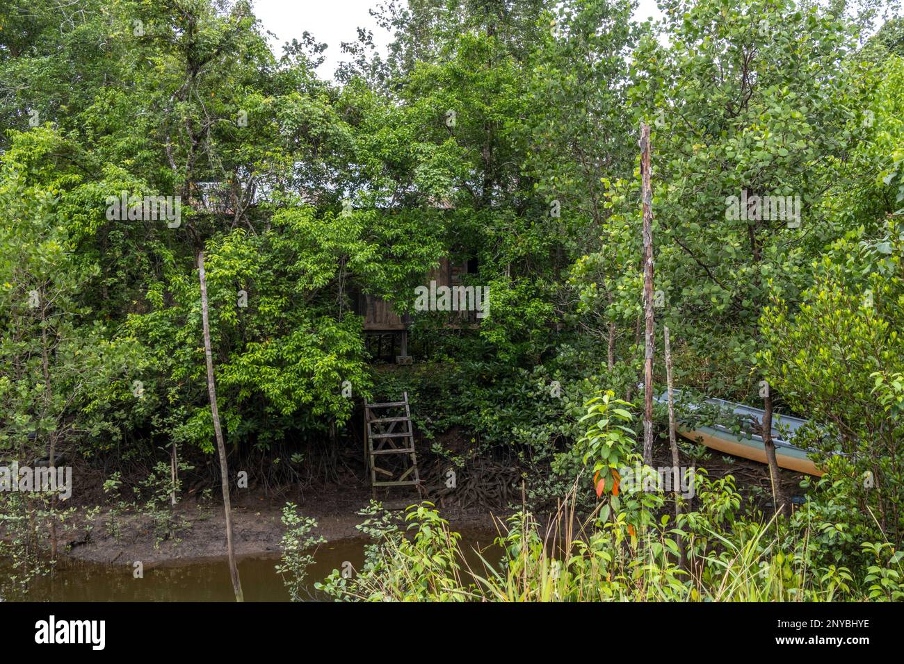 Telaga Air stream, Sarawak, East Malaysia, Borneo. Telaga Air is situated at the estuary of Sungai Sibu, before the river romances the South China Stock Photo