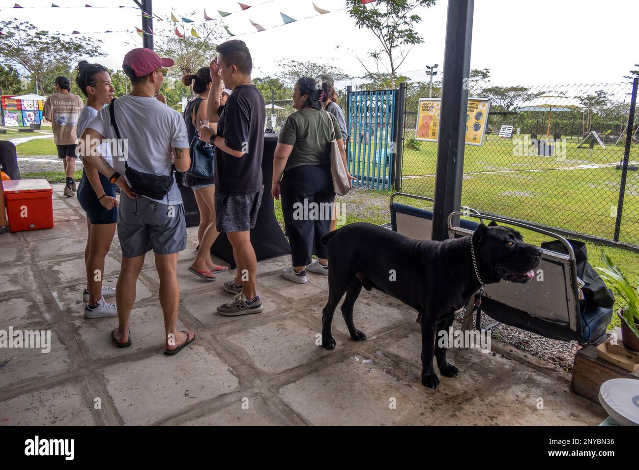 Bark Park Saradise Pet Market, Kuching, Sarawak, East Malaysia, Borneo