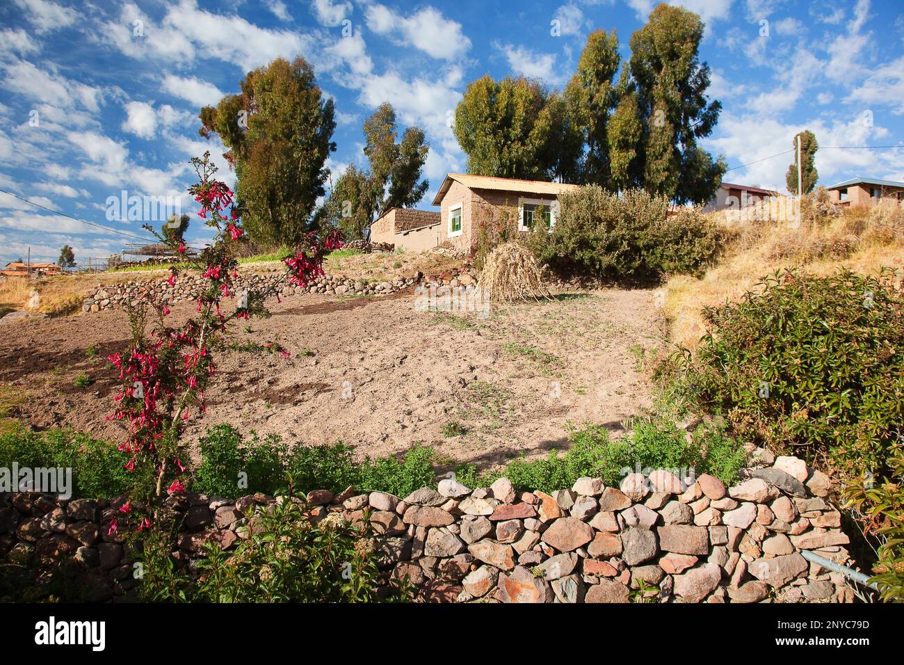 View Of The Traditional Houses In Amantani Island Lake Titicaca Puno Region Peru South