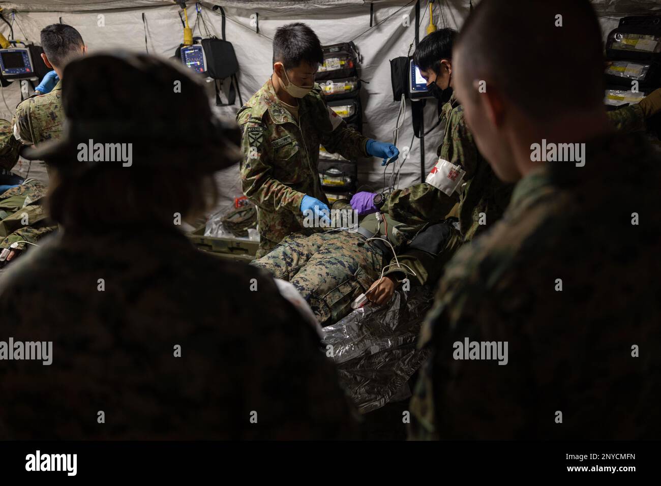 U.S. Navy corpsmen with the 31st Marine Expeditionary Unit, and soldiers with the 1st Amphibious Rapid Deployment Regiment, Japan Ground Self-Defense Force, examine vital signs on a simulated casualty during a mass casualty exercise at Hijudai, Japan on Feb. 19, 2023. The training simulated a mass casualty event granting the bi-lateral medical team an opportunity to actively practice medical care in the field with closely simulated pressure and conditions during Iron Fist 23. Iron Fist is an annual bilateral exercise designed to increase interoperability and strengthen the relationships betwee Stock Photo