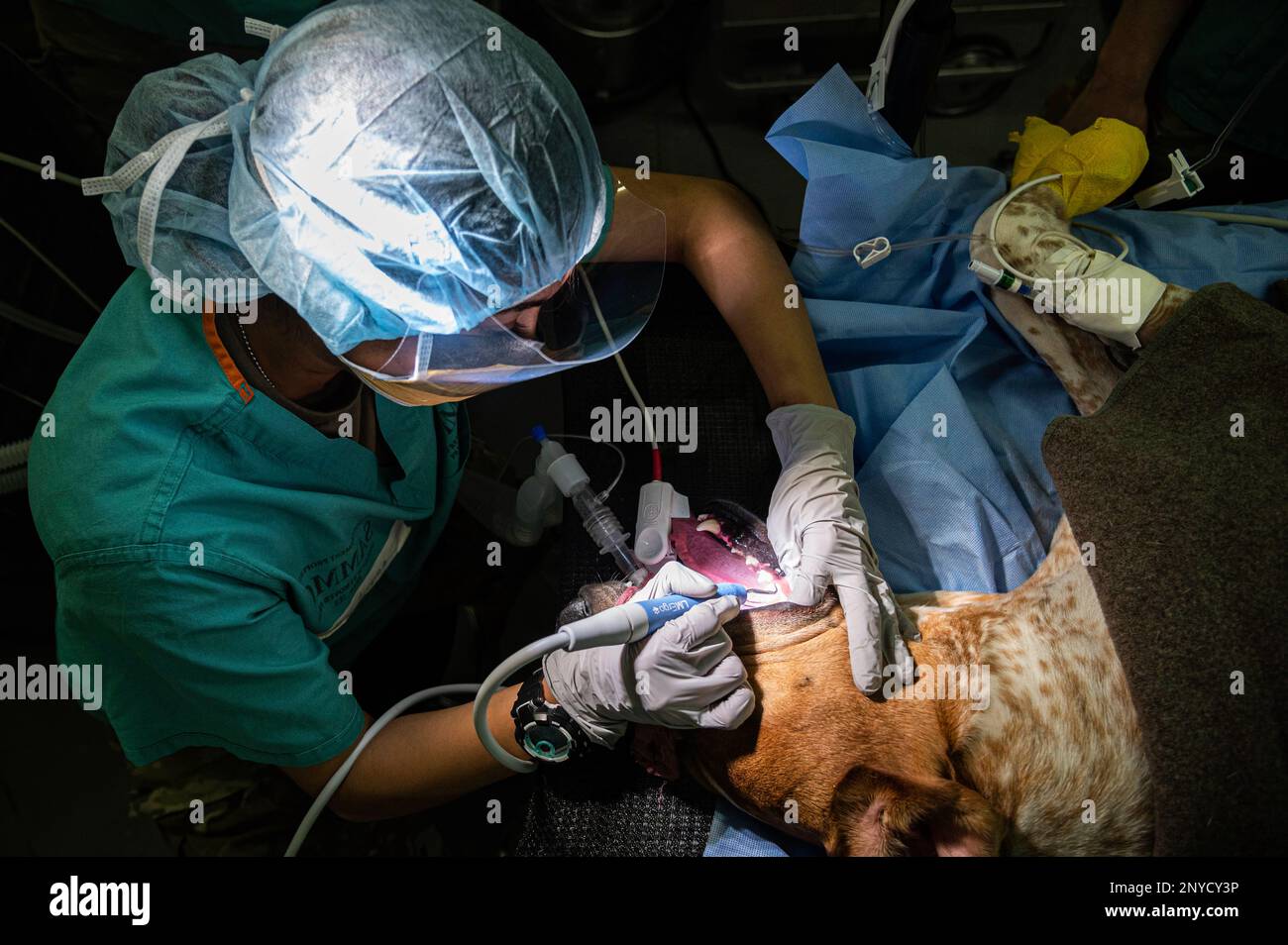 68T10 Animal Care Specialist students, assigned to the U.S. Army