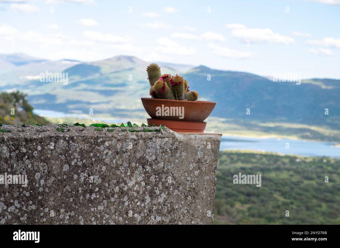 Embedded in a stone hi-res stock photography and images - Page 5 - Alamy
