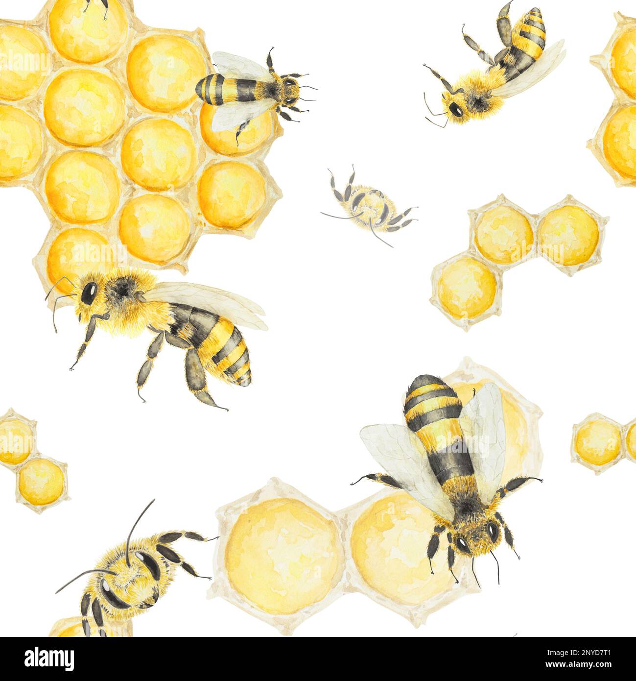 Watercolor hand drawn pattern of bees and honey isolated on white ...