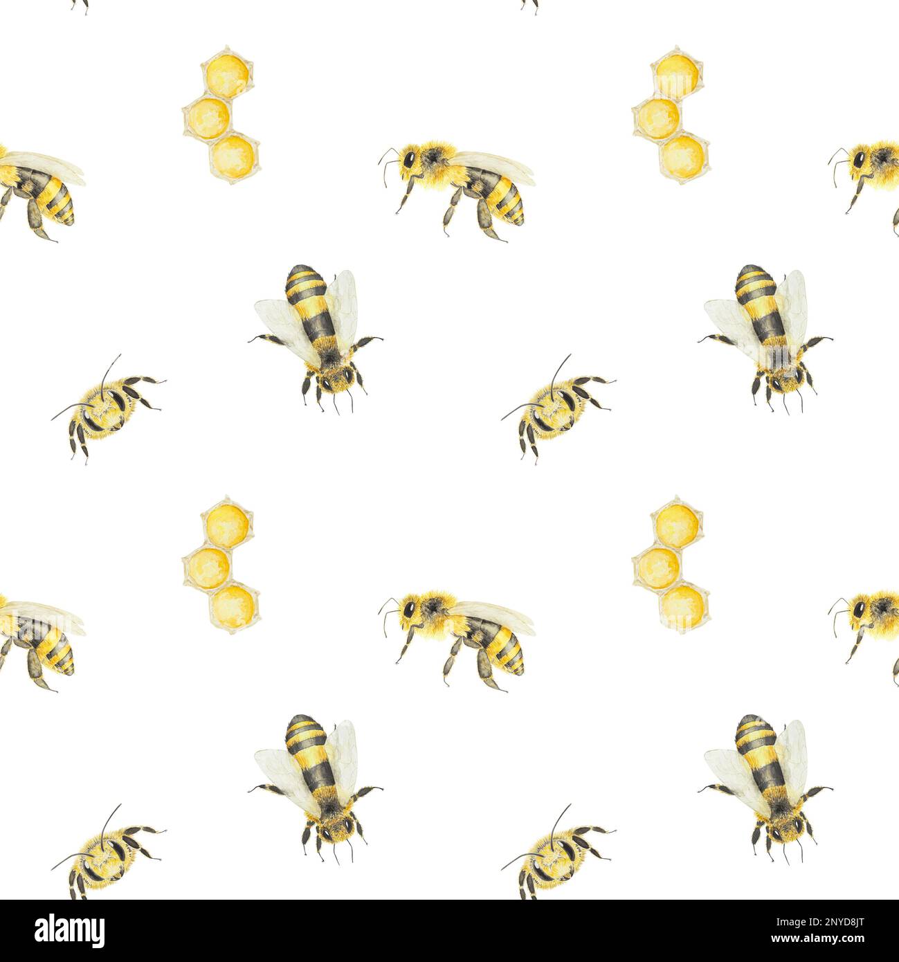 Watercolor hand drawn pattern of bees and honey isolated on white ...