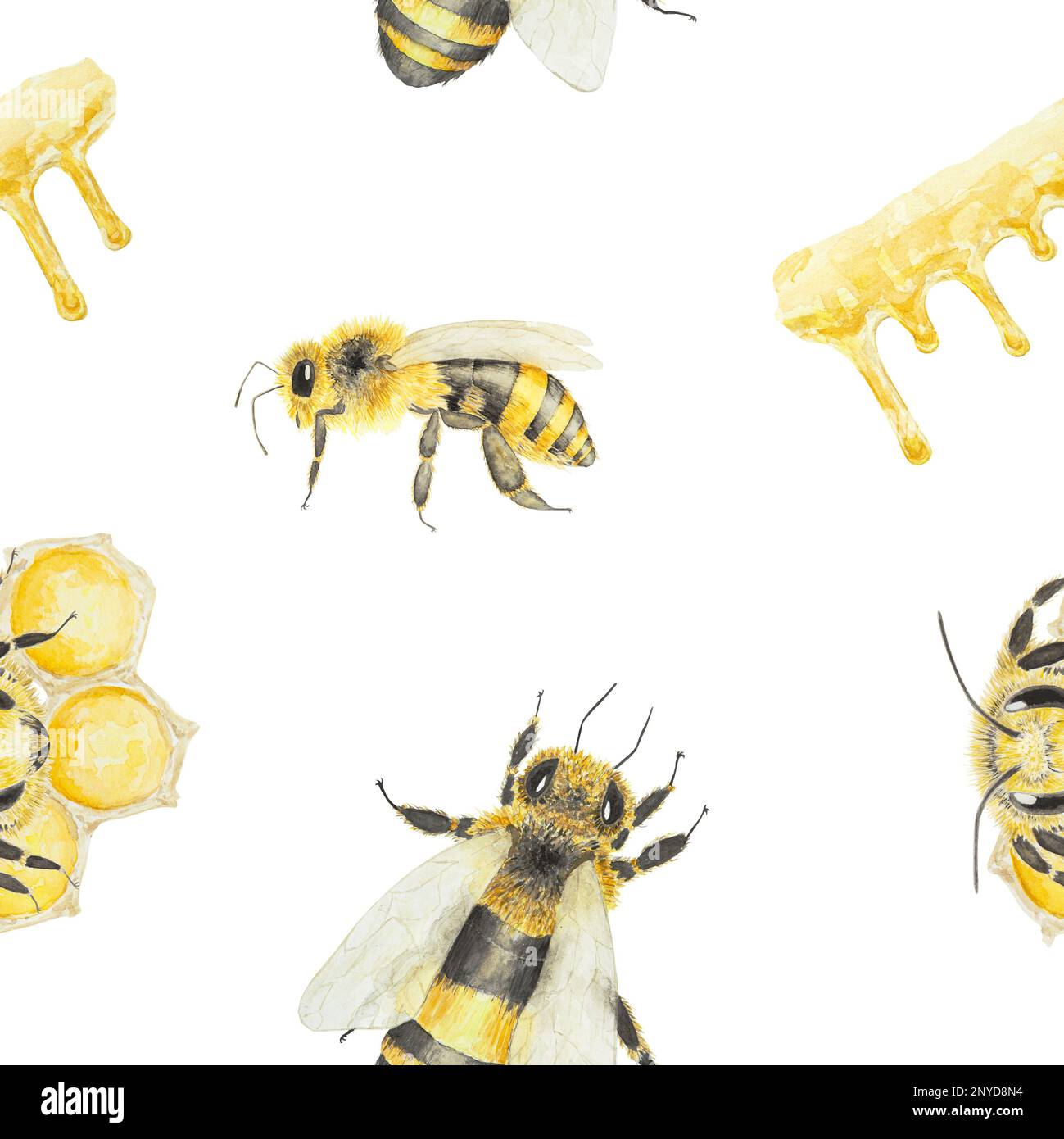 Watercolor hand drawn pattern of bees and honey isolated on white ...