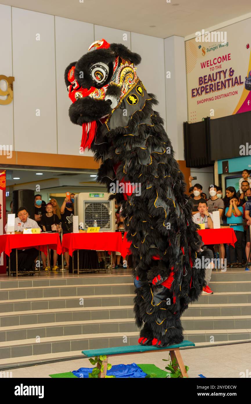 traditional southern chinese new year lion dance